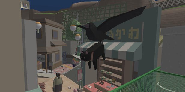 A crow flying around with a shocked looking cat